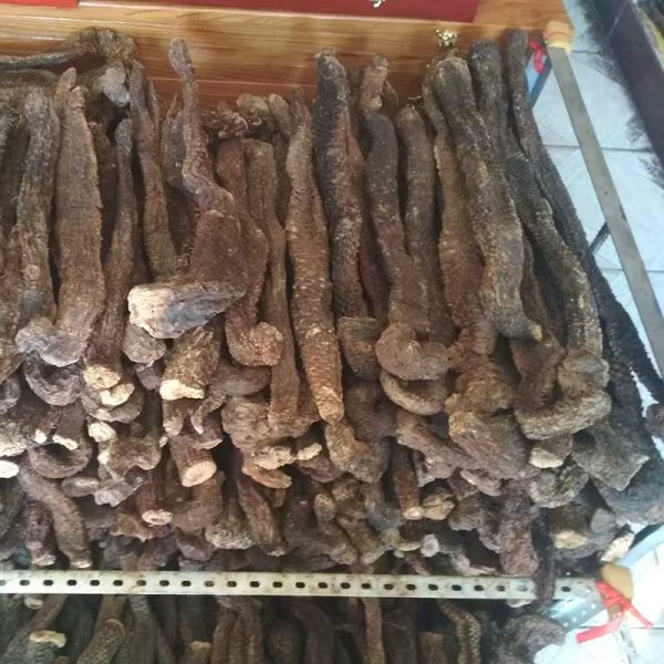 肉蓯蓉 產地嚴選貨真價實 A級藥材品鑒 男士補陽固本佳品(500克/盒）切片 - Image 4