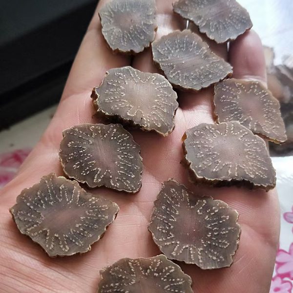 肉蓯蓉 產地嚴選貨真價實 A級藥材品鑒 男士補陽固本佳品(500克/盒）切片 - Image 3