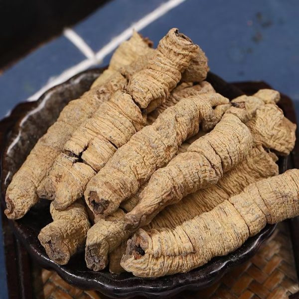 巴戟天 野生正品 可泡茶泡酒 養生壯陽補氣佳品中藥材   500克/盒 - Image 3
